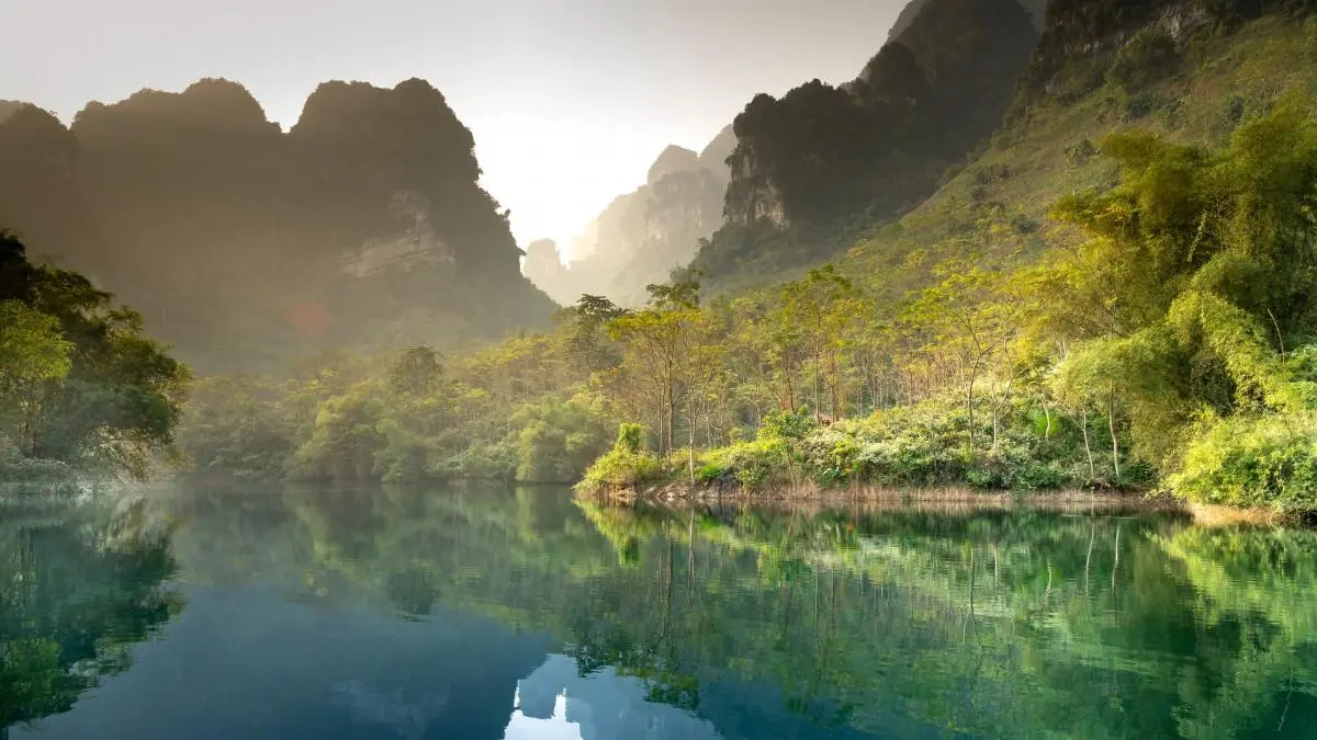 高效智能化